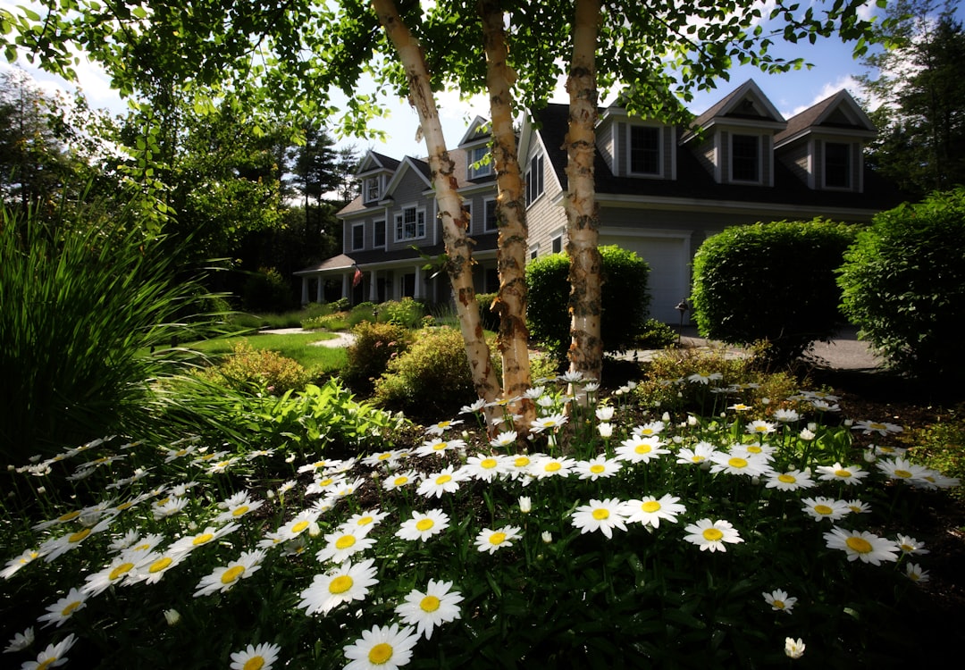 The Art of Transforming Spaces: A Deep Dive into Home Staging Services